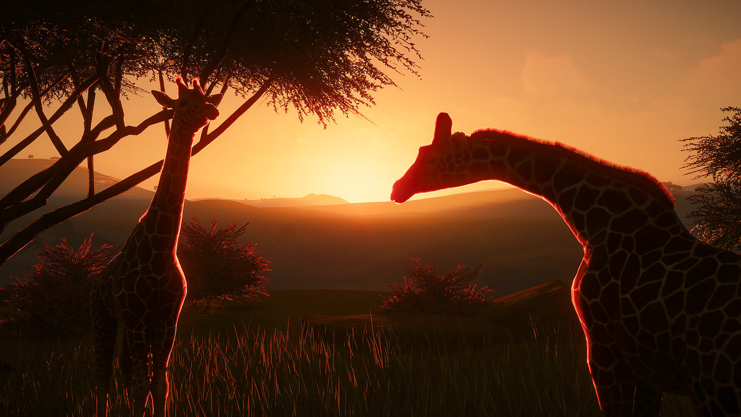 Two giraffes reaching towards each other against a sunset sky with mountains in the background.