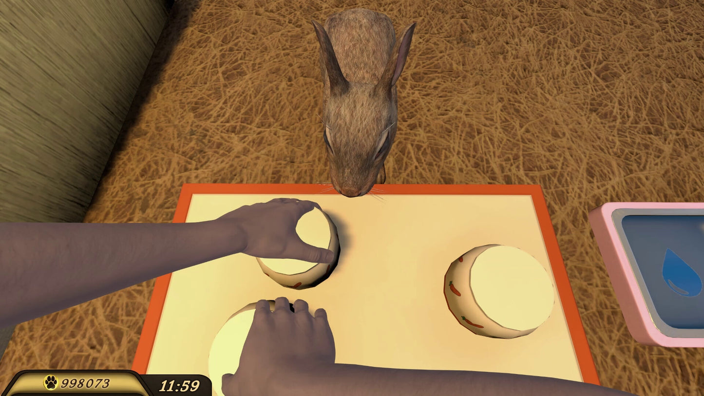 Buy Pets Hotel PC Steam Key Default Title Steam key – fast digital delivery | Volt Keys
