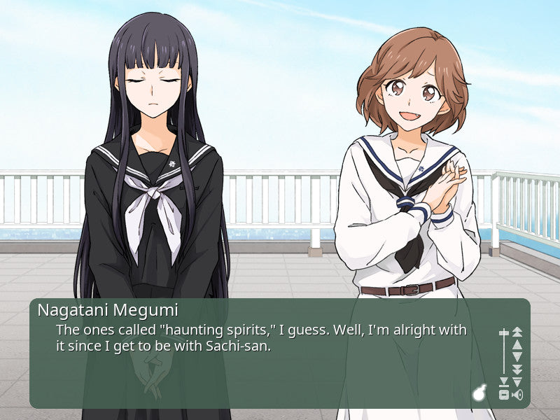 Buy Kindred Spirits on the Roof - Full Chorus DLC Steam Key Default Title Steam key – fast digital delivery | Volt Keys