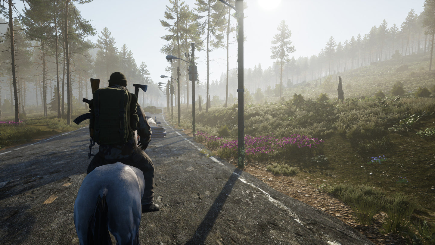 Buy Dead District: Survival Steam Key Default Title Steam key – fast digital delivery | Volt Keys