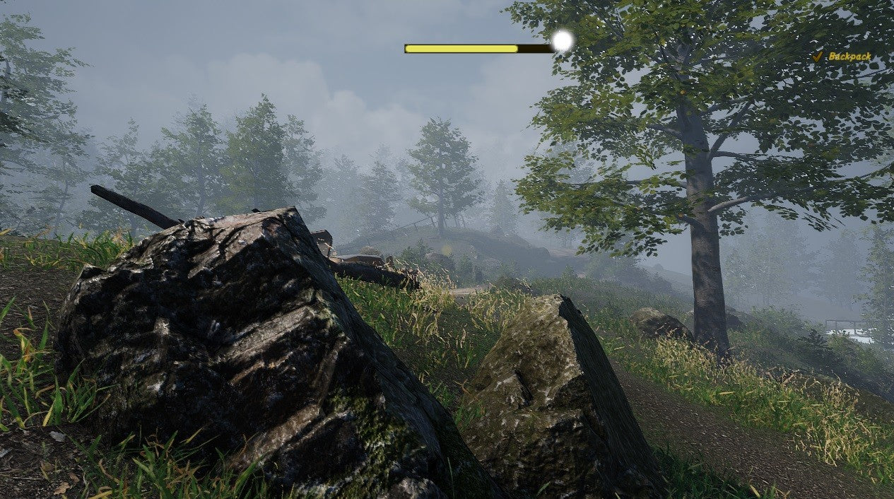Buy Naturalist Stories Steam Key Default Title Steam key – fast digital delivery | Volt Keys
