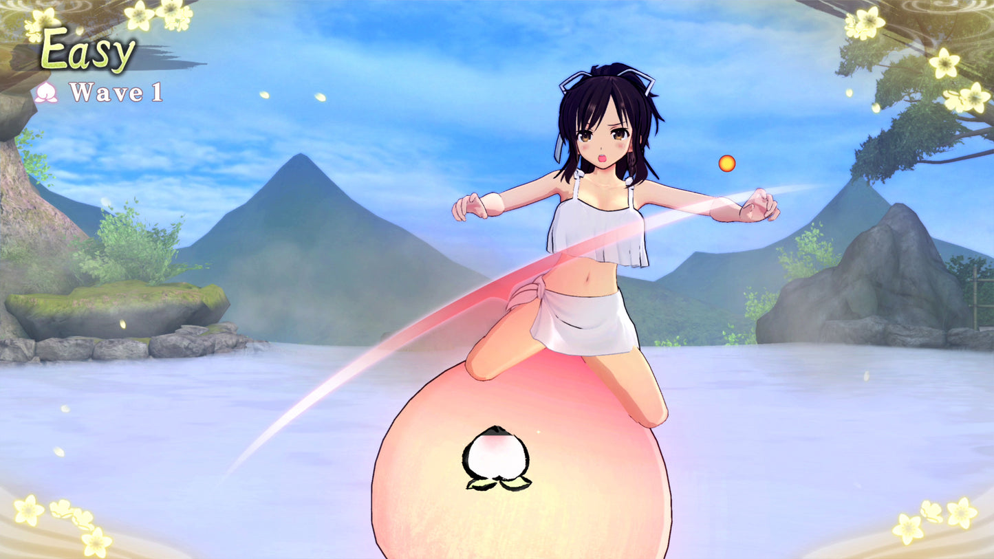 Buy Neptunia x SENRAN KAGURA: Ninja Wars Steam Key Default Title Steam key – fast digital delivery | Volt Keys