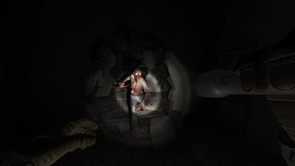 Buy Allison's Diary: Rebirth Steam Key Default Title Steam key – fast digital delivery | Volt Keys