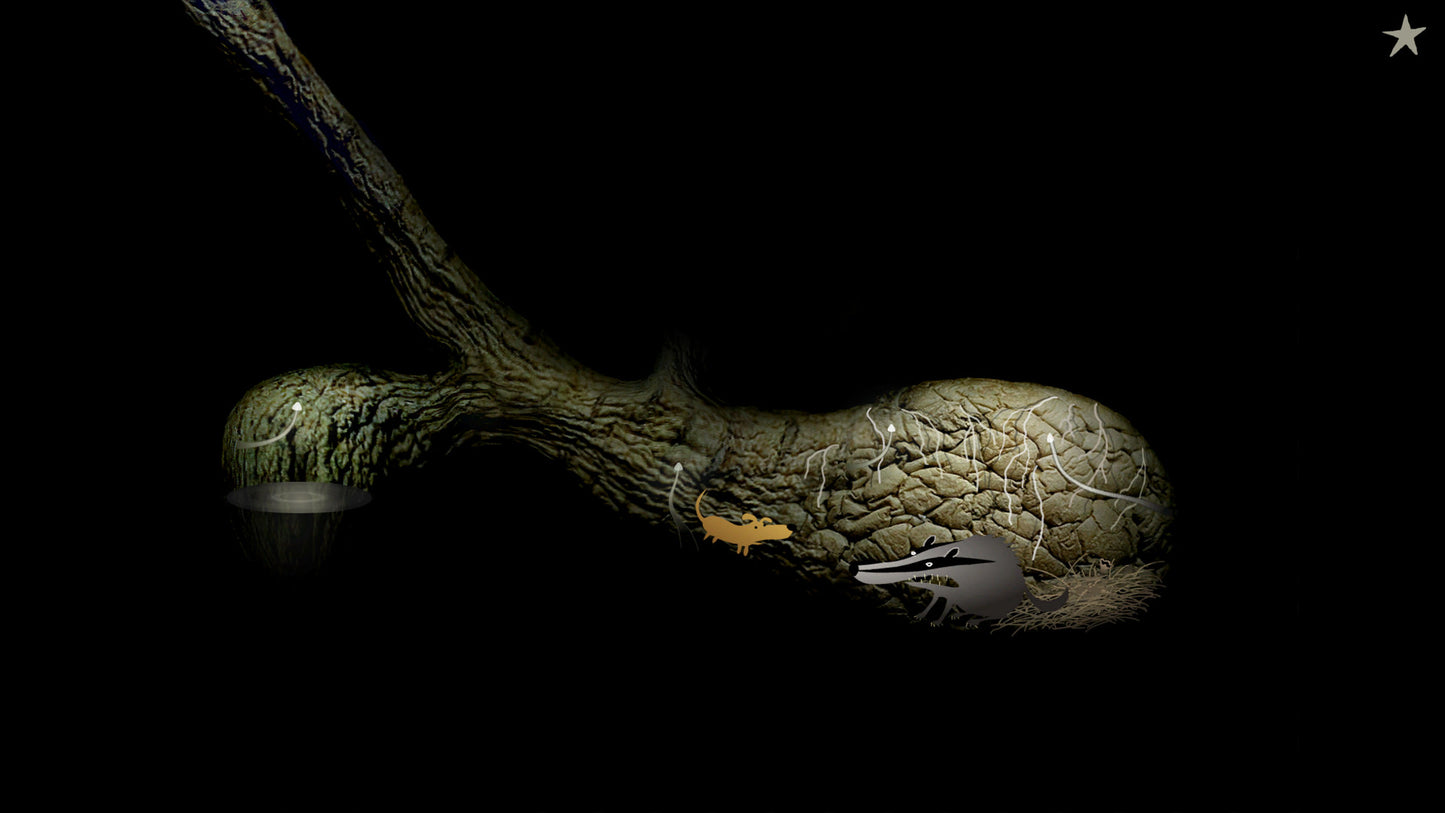 Buy Samorost 2 Steam Key Default Title Steam key – fast digital delivery | Volt Keys