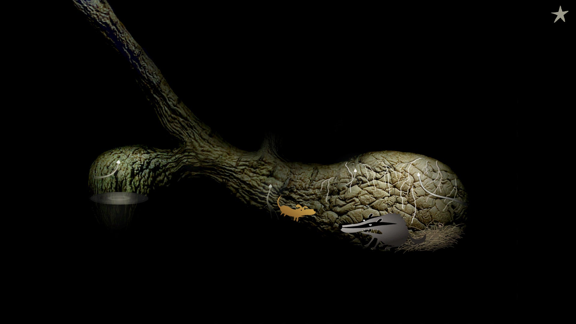 Buy Samorost 2 Steam Key Default Title Steam key – fast digital delivery | Volt Keys