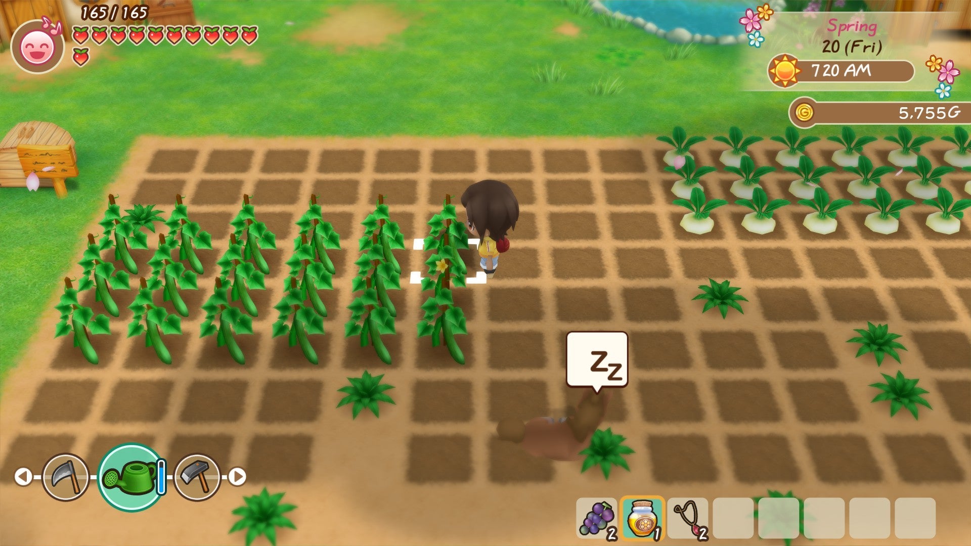 Buy STORY OF SEASONS: Friends of Mineral Town Steam Key Default Title Steam key – fast digital delivery | Volt Keys