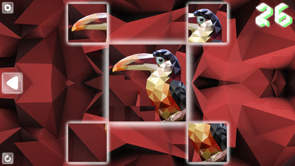 Buy Poly Puzzle: Birds Steam Key Default Title Steam key – fast digital delivery | Volt Keys