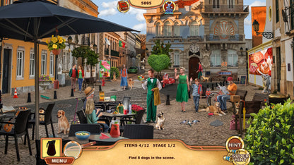 Big Adventure: Trip to Europe 9 - Collector's Edition PC Steam Key