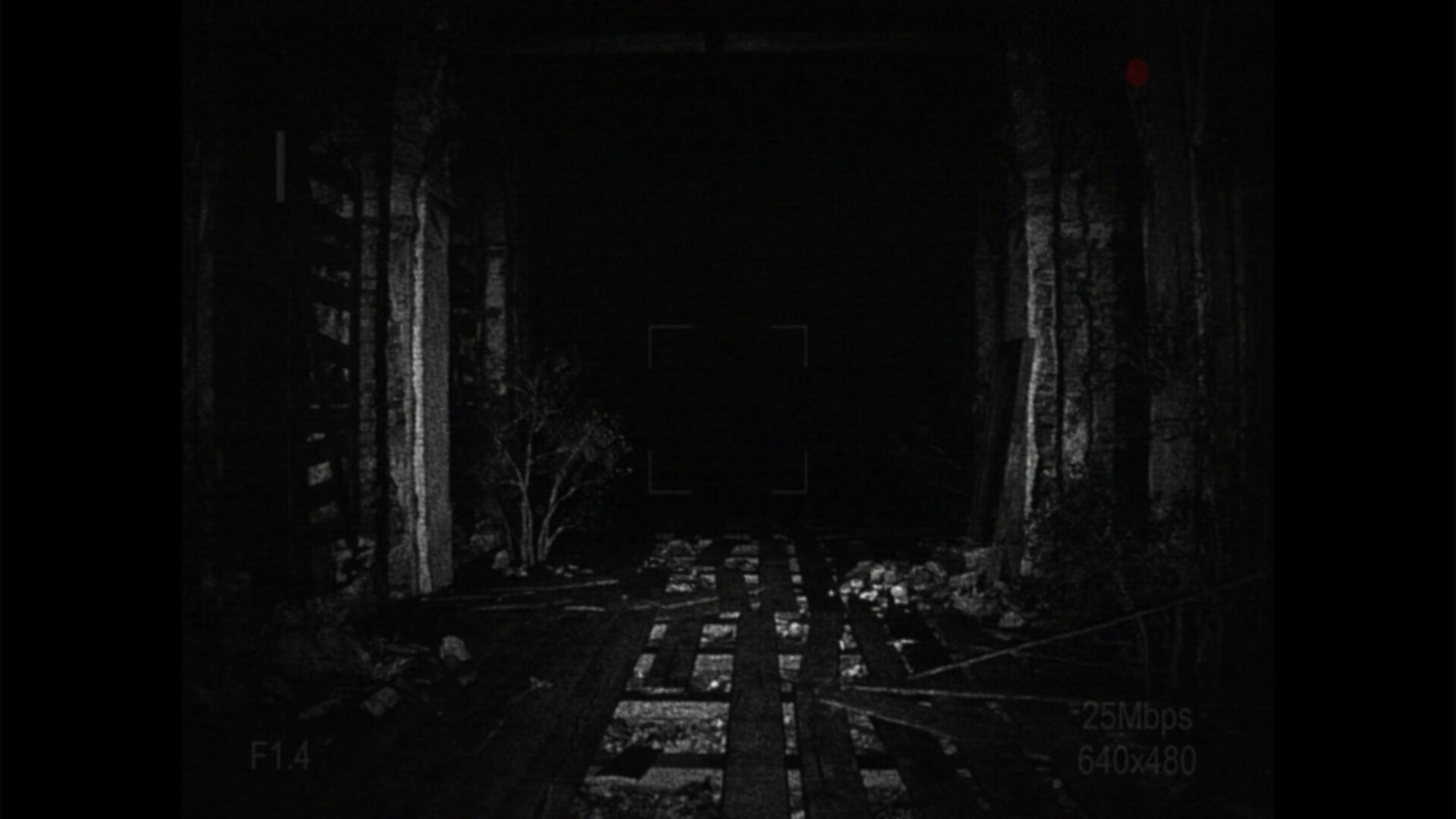 [REC] Desolation PC Steam Key