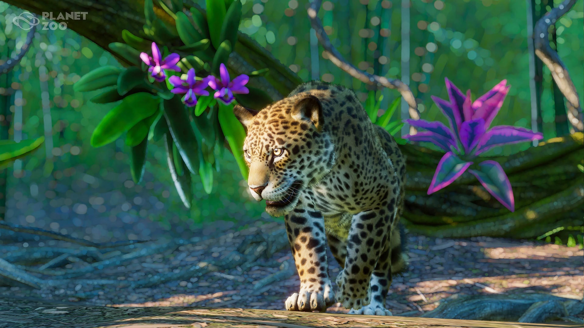 Buy Planet Zoo - South America Pack DLC Steam Key Default Title Steam key – fast digital delivery | Volt Keys