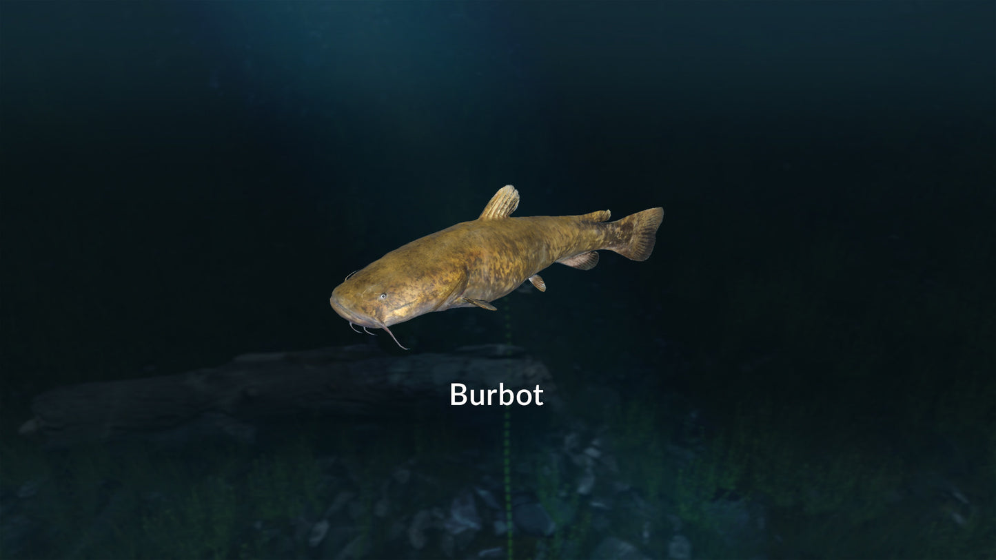Buy Ultimate Fishing Simulator - New Fish Species DLC Steam Key Default Title Steam key – fast digital delivery | Volt Keys
