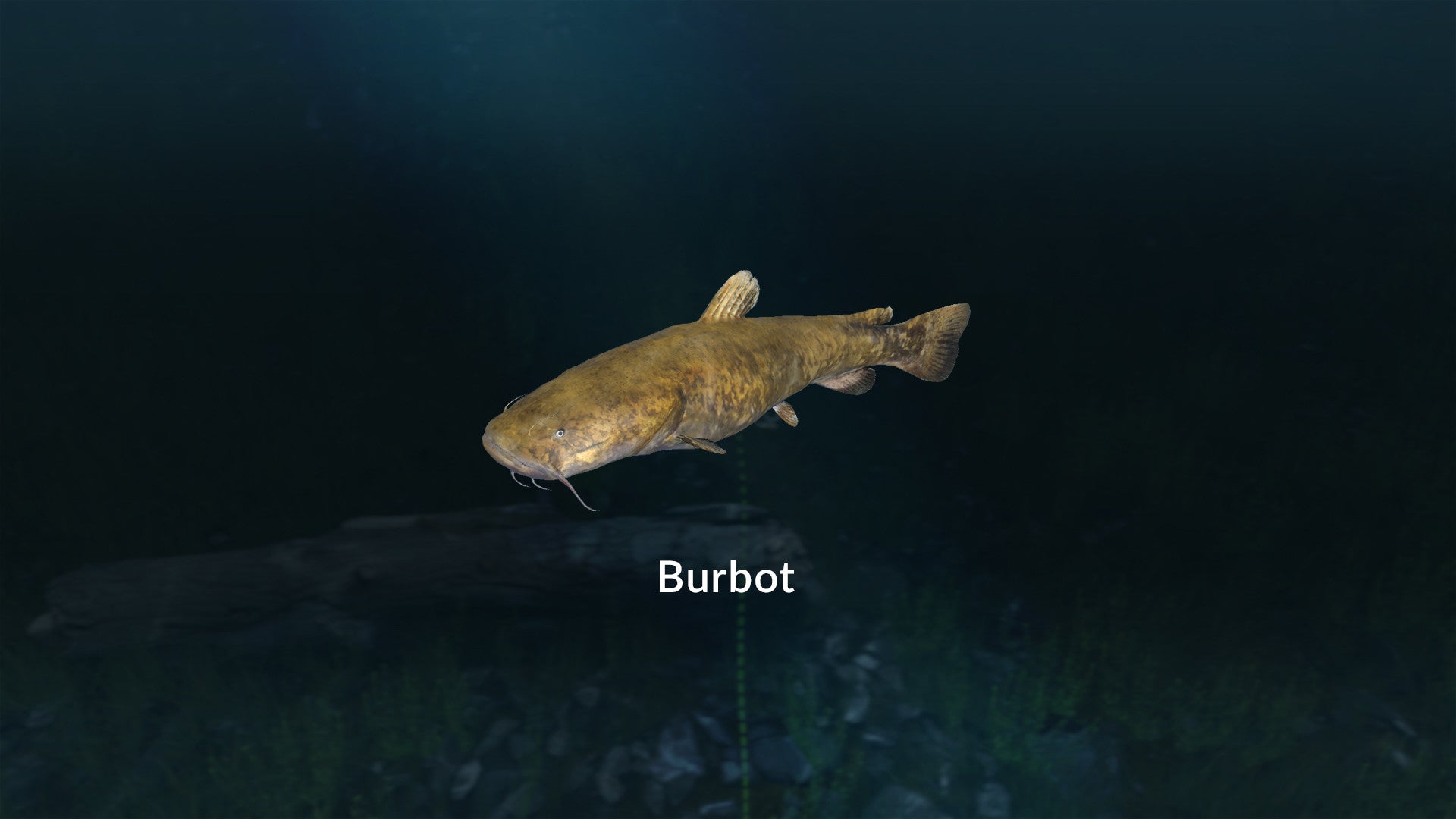 Buy Ultimate Fishing Simulator - New Fish Species DLC Steam Key Default Title Steam key – fast digital delivery | Volt Keys