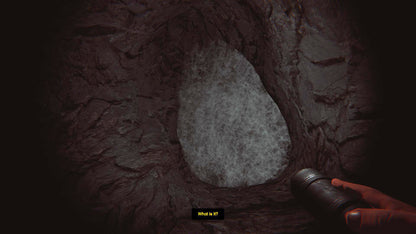 Buy Depths Of Horror: Mushroom Day Steam Key Default Title Steam key – fast digital delivery | Volt Keys