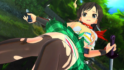 Buy SENRAN KAGURA Burst Re:Newal Steam Key Default Title Steam key – fast digital delivery | Volt Keys