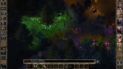 Buy Baldur's Gate II: Enhanced Edition PC Steam Key Default Title Steam key – fast digital delivery | Volt Keys
