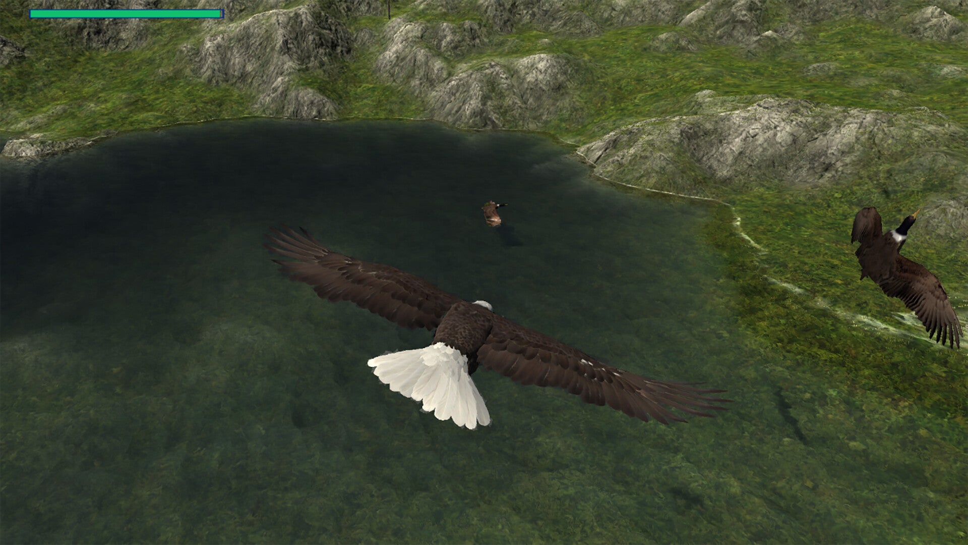 Buy Eagle Hunting Journey Steam Key Default Title Steam key – fast digital delivery | Volt Keys