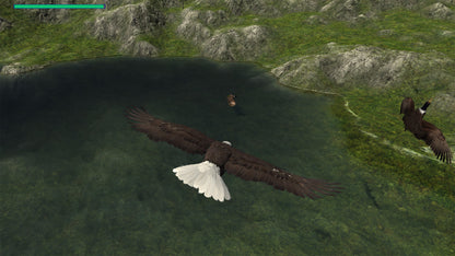 Buy Eagle Hunting Journey Steam Key Default Title Steam key – fast digital delivery | Volt Keys