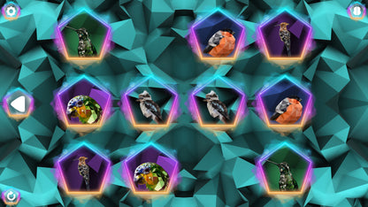 Buy Poly Memory: Birds Steam Key Default Title Steam key – fast digital delivery | Volt Keys