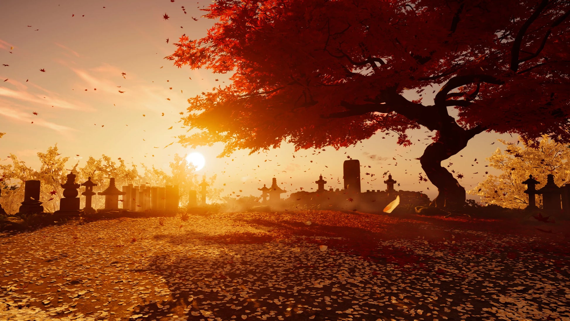 Tree with red leaves in a cemetery at sunset
