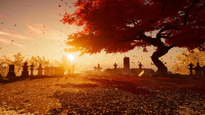 Tree with red leaves in a cemetery at sunset