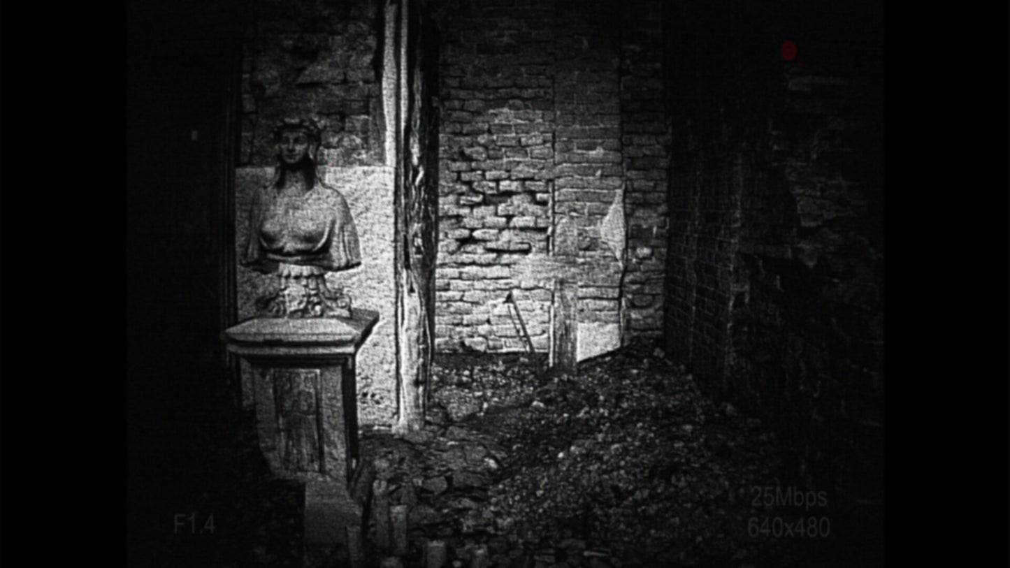 [REC] Desolation PC Steam Key