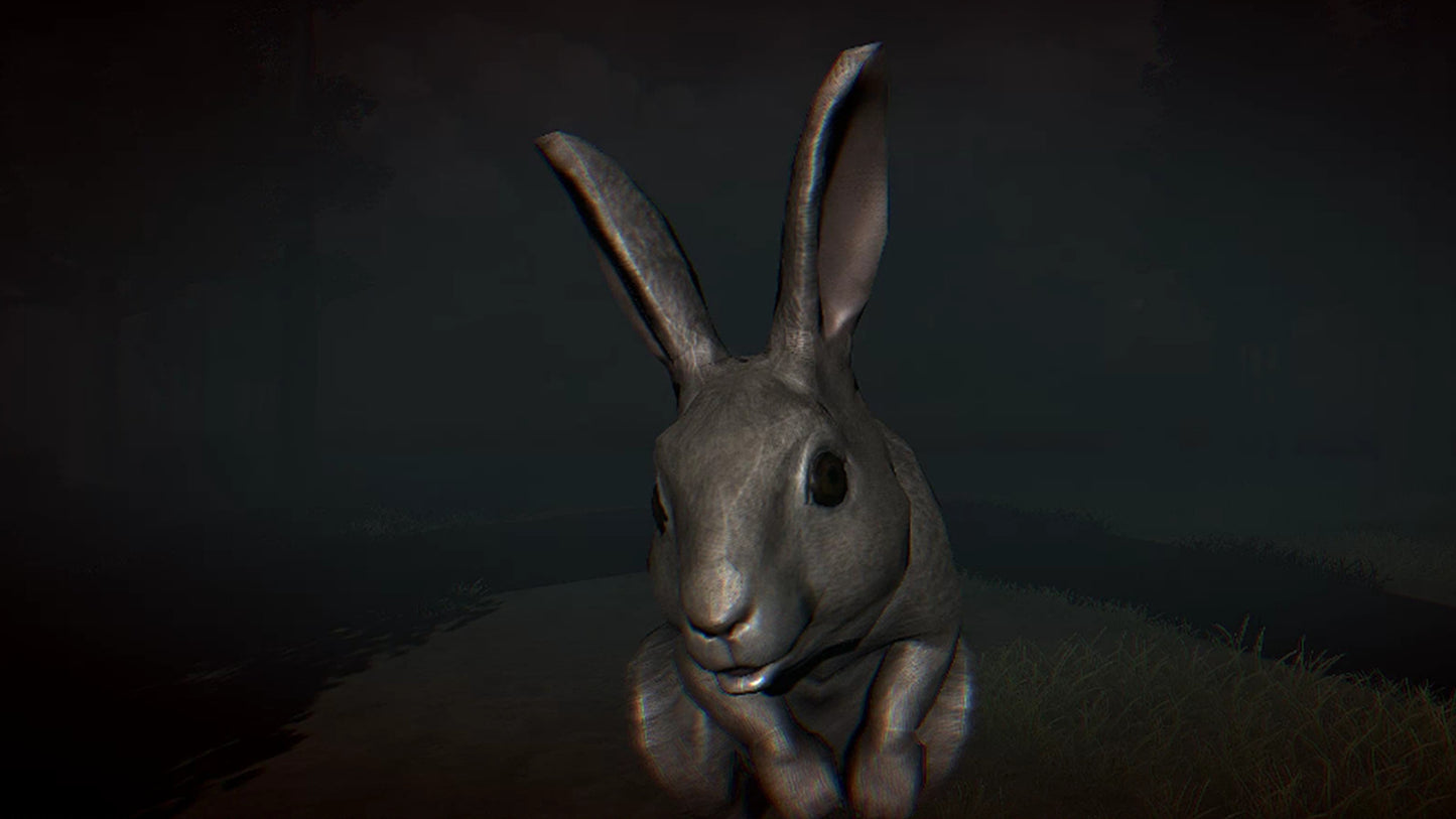 Buy Rabbit Riot Steam Key Default Title Steam key – fast digital delivery | Volt Keys