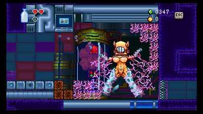 Buy The Rescue of Mermaids Steam Key Default Title Steam key – fast digital delivery | Volt Keys