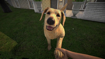 Buy Pets Hotel PC Steam Key Default Title Steam key – fast digital delivery | Volt Keys