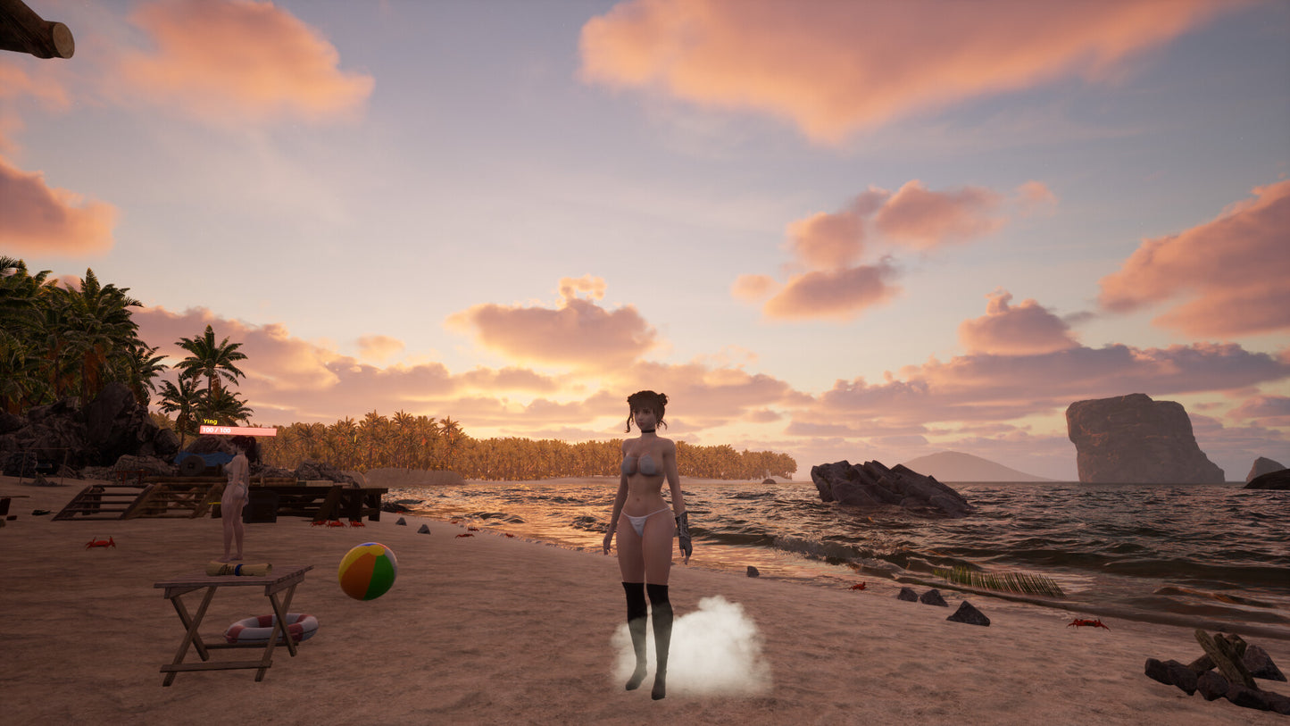 Lethal Beach PC Steam Key