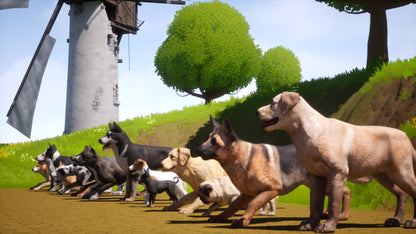 Buy Dogs Club Steam Key Default Title Steam key – fast digital delivery | Volt Keys
