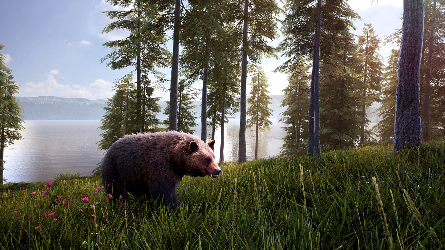 Buy Hunting Simulator 2 - Bear Hunter Pack DLC Steam Key Default Title Steam key – fast digital delivery | Volt Keys