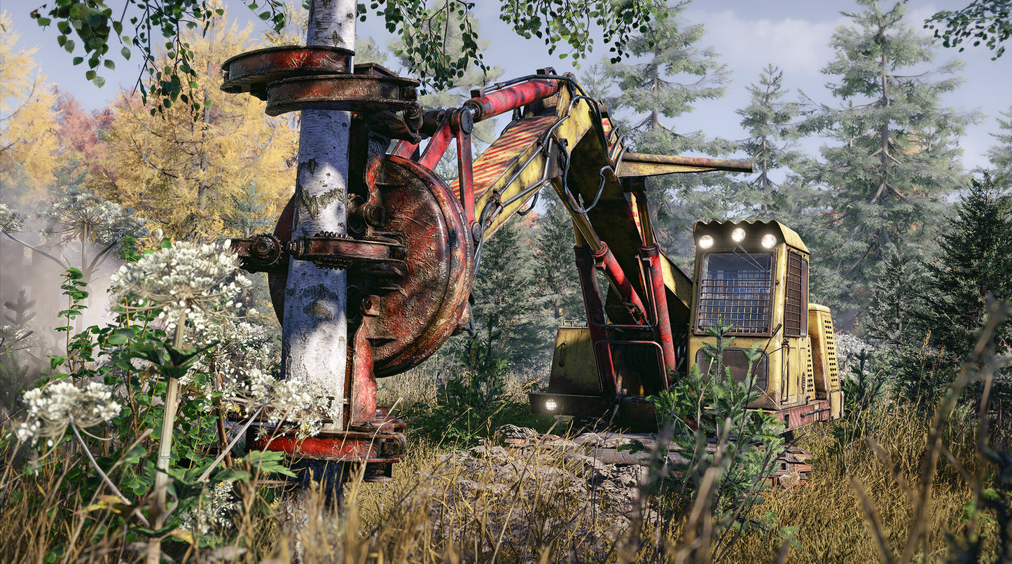 Logging equipment in a forest clearing