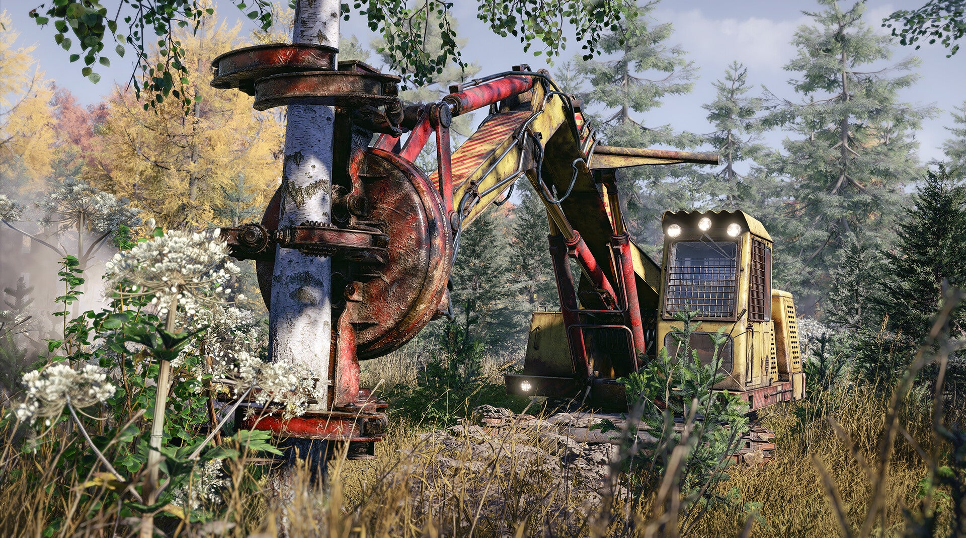 Logging equipment in a forest clearing