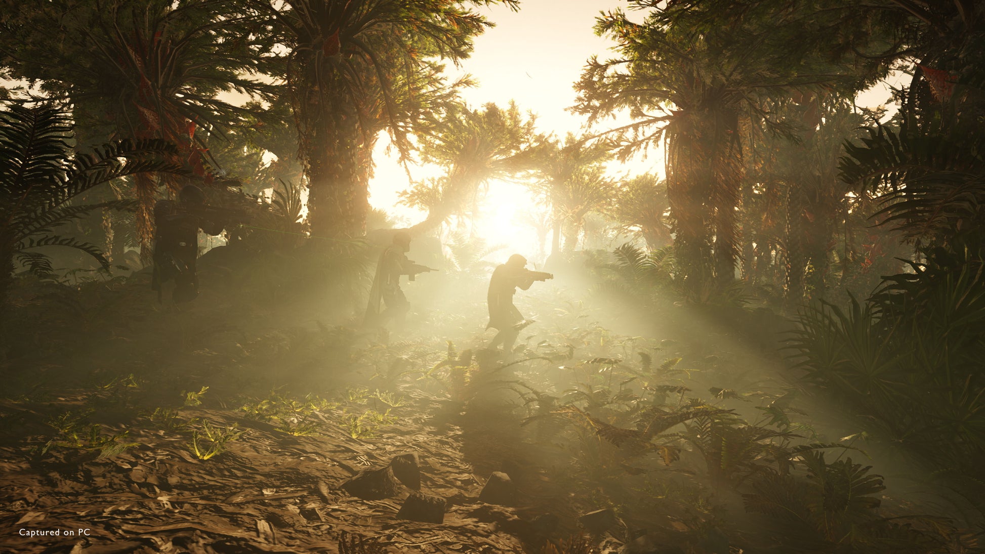 Sunlight filtering through trees in a dense forest with people walking.