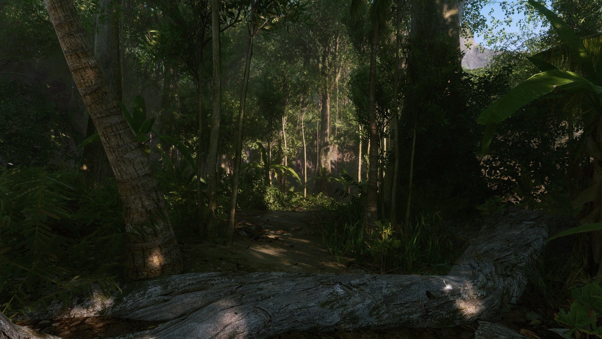 Buy Crysis Remastered PC Steam Key Default Title Steam key – fast digital delivery | Volt Keys
