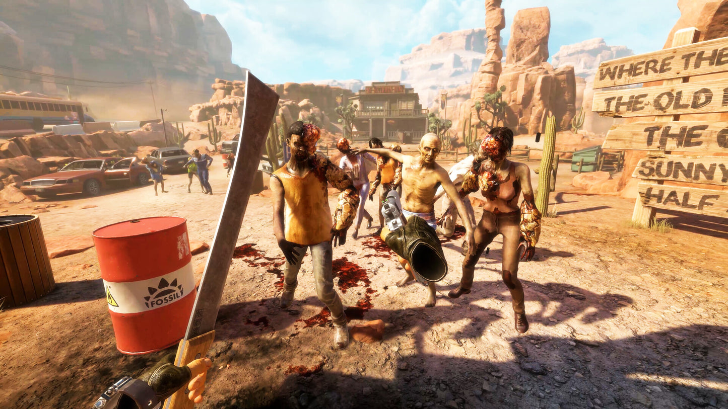 Arizona Sunshine Remake PC Steam Key