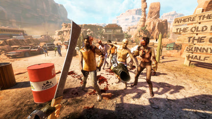 Arizona Sunshine Remake PC Steam Key
