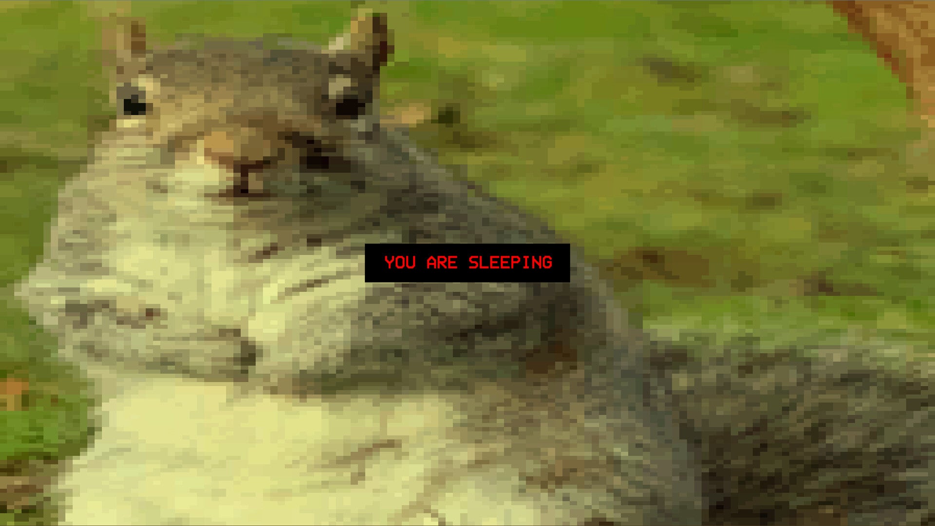 Buy Squirrel Stapler Steam Key Default Title Steam key – fast digital delivery | Volt Keys