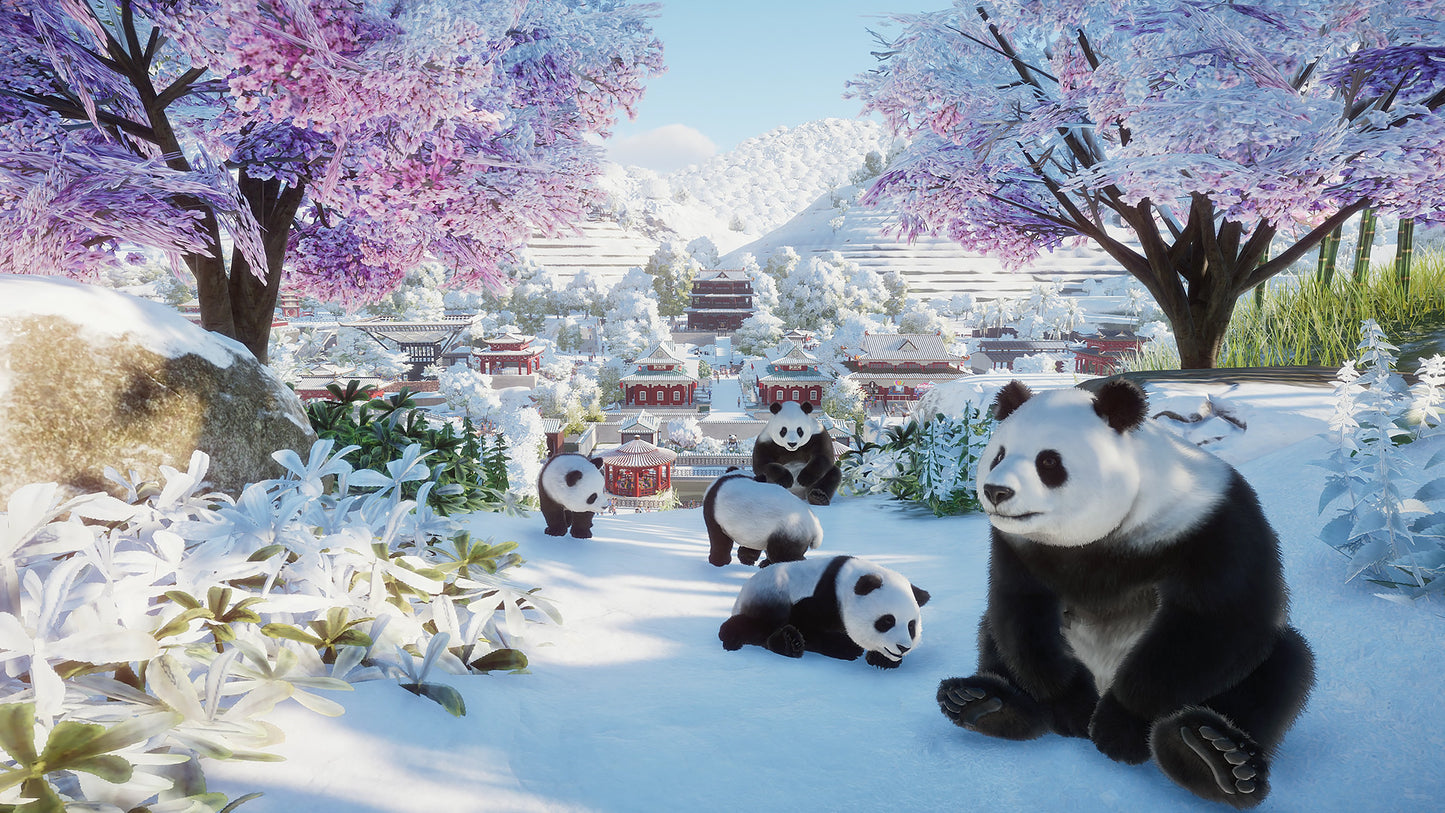 Pandas in a snowy landscape with cherry blossom trees