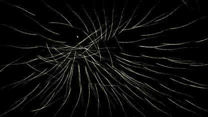 Buy Borealis Steam Key Default Title Steam key – fast digital delivery | Volt Keys