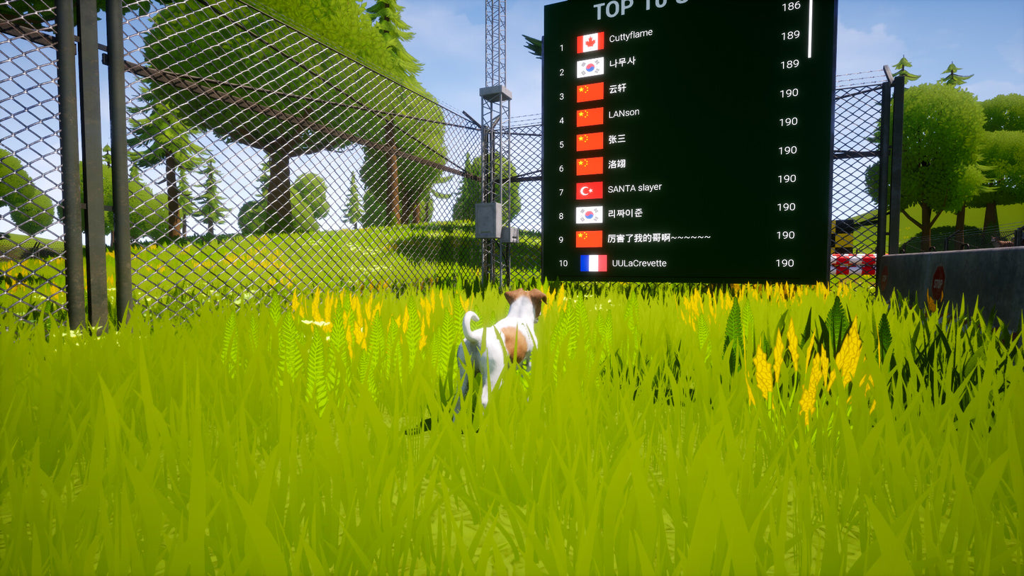 Buy Dogs Club Steam Key Default Title Steam key – fast digital delivery | Volt Keys