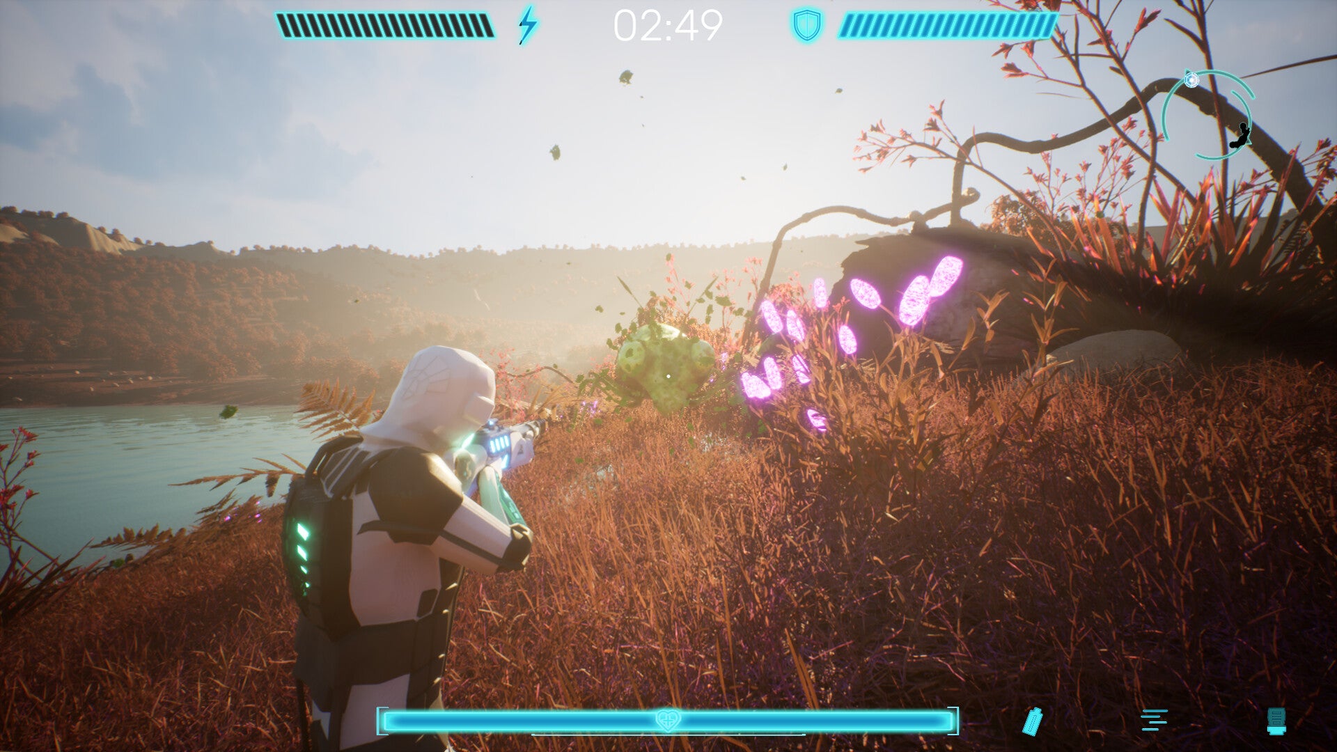 Buy Beetle Nest Steam Key Default Title Steam key – fast digital delivery | Volt Keys