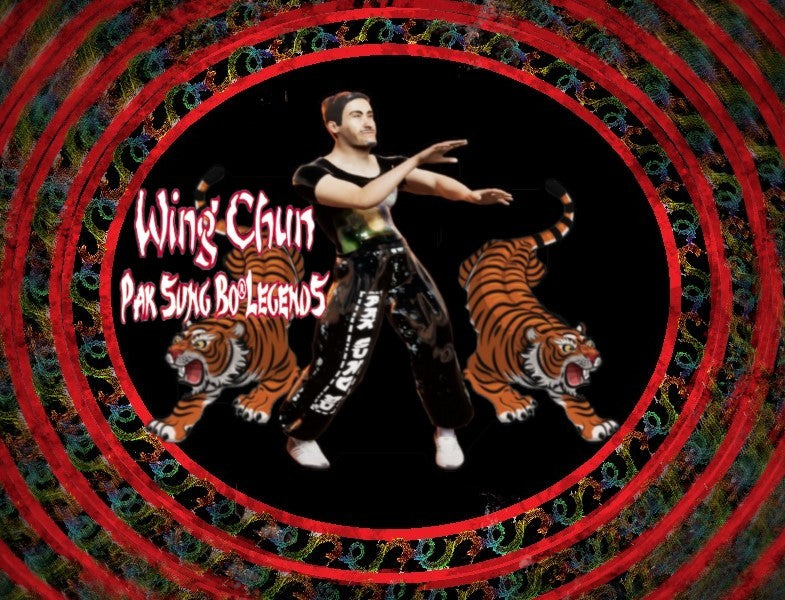 Buy Wing Chun Pak Sung Bo Legends Steam Key Default Title Steam key – fast digital delivery | Volt Keys