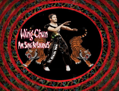 Buy Wing Chun Pak Sung Bo Legends Steam Key Default Title Steam key – fast digital delivery | Volt Keys