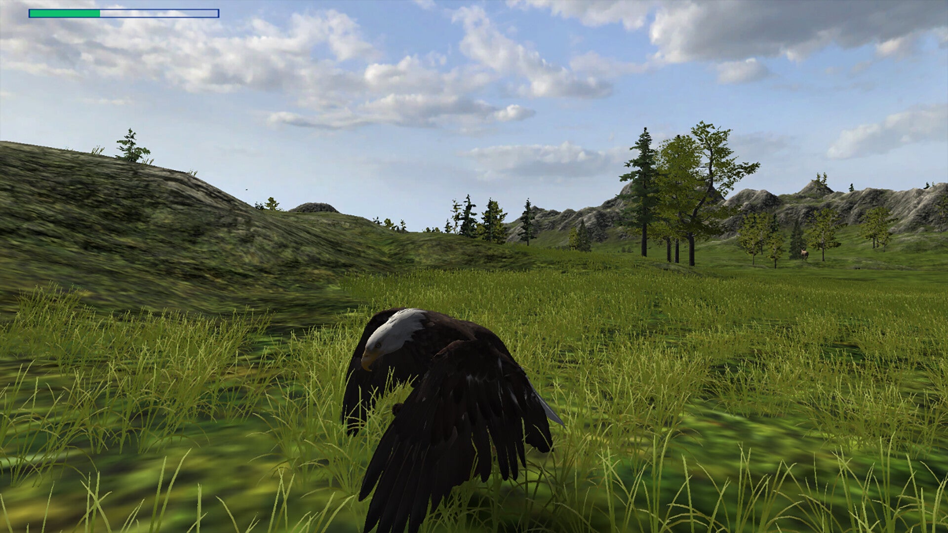 Buy Eagle Hunting Journey Steam Key Default Title Steam key – fast digital delivery | Volt Keys
