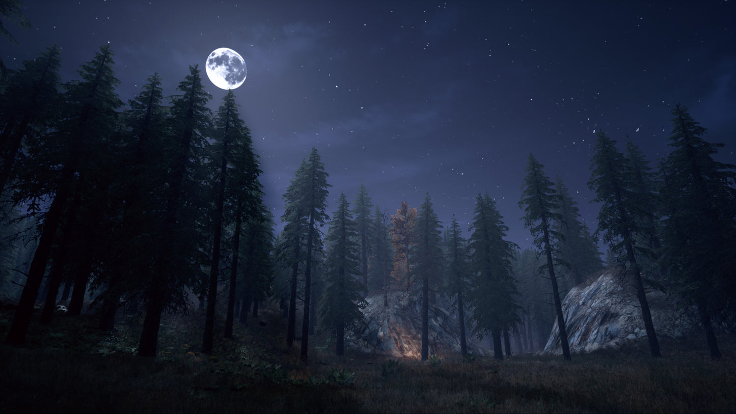Buy Nightwalker PC Steam Key Default Title Steam key – fast digital delivery | Volt Keys