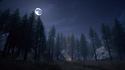 Buy Nightwalker PC Steam Key Default Title Steam key – fast digital delivery | Volt Keys