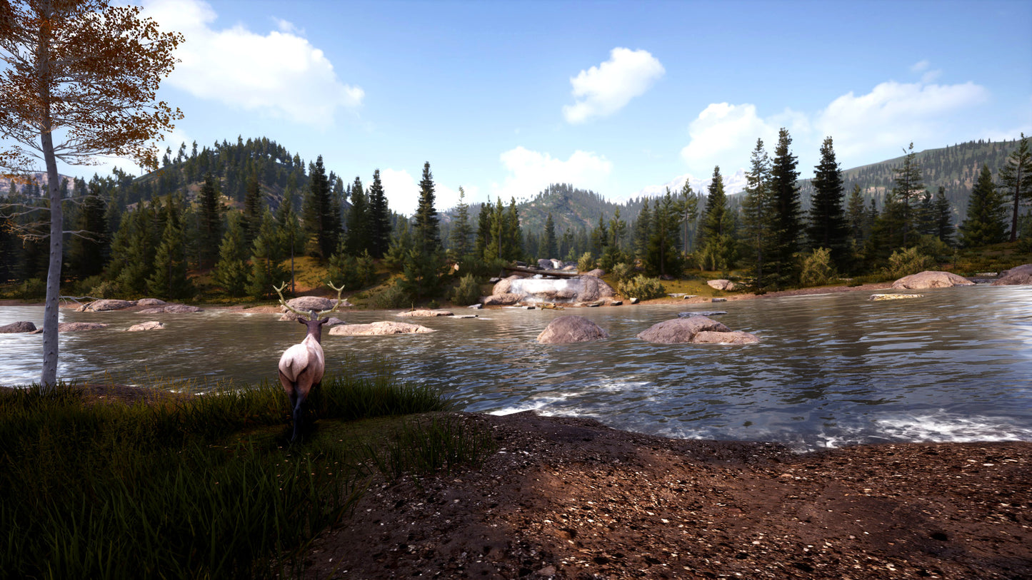 Buy Hunting Simulator 2 - Bear Hunter Pack DLC Steam Key Default Title Steam key – fast digital delivery | Volt Keys