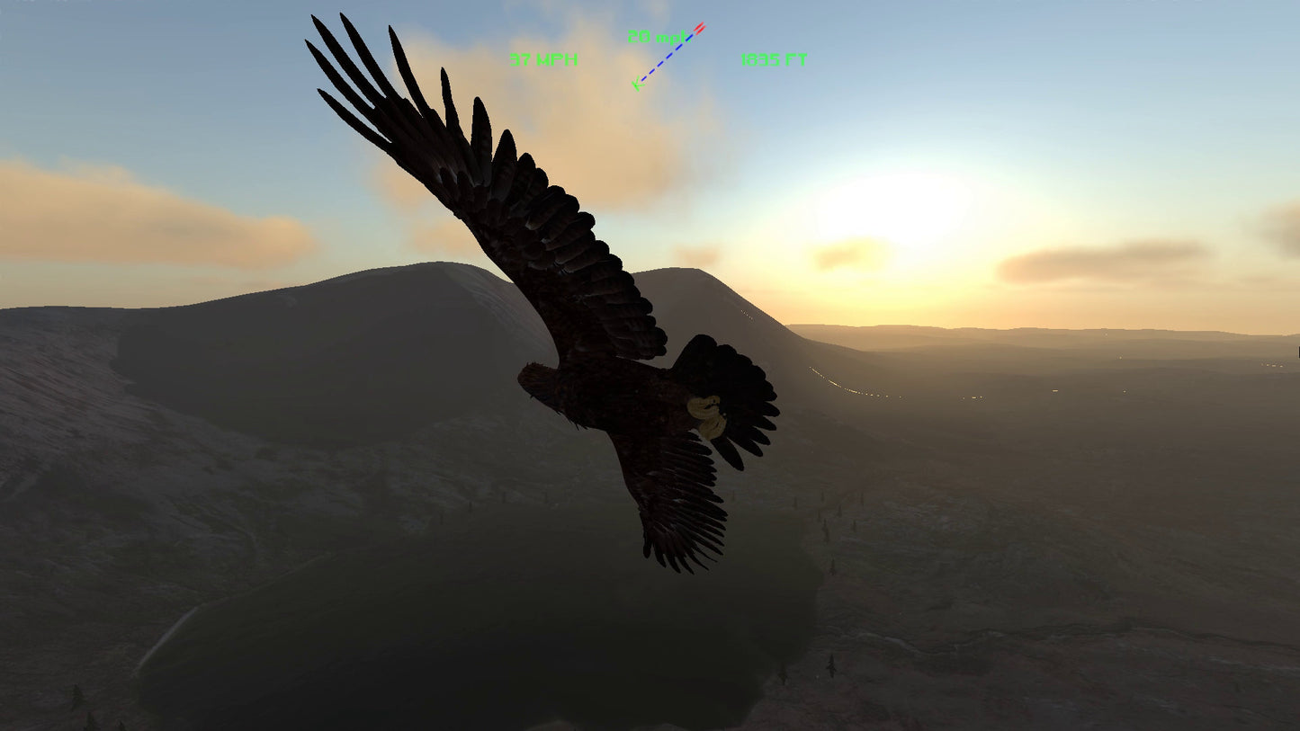 Buy Aquila Bird Flight Simulator Steam Key Default Title Steam key – fast digital delivery | Volt Keys