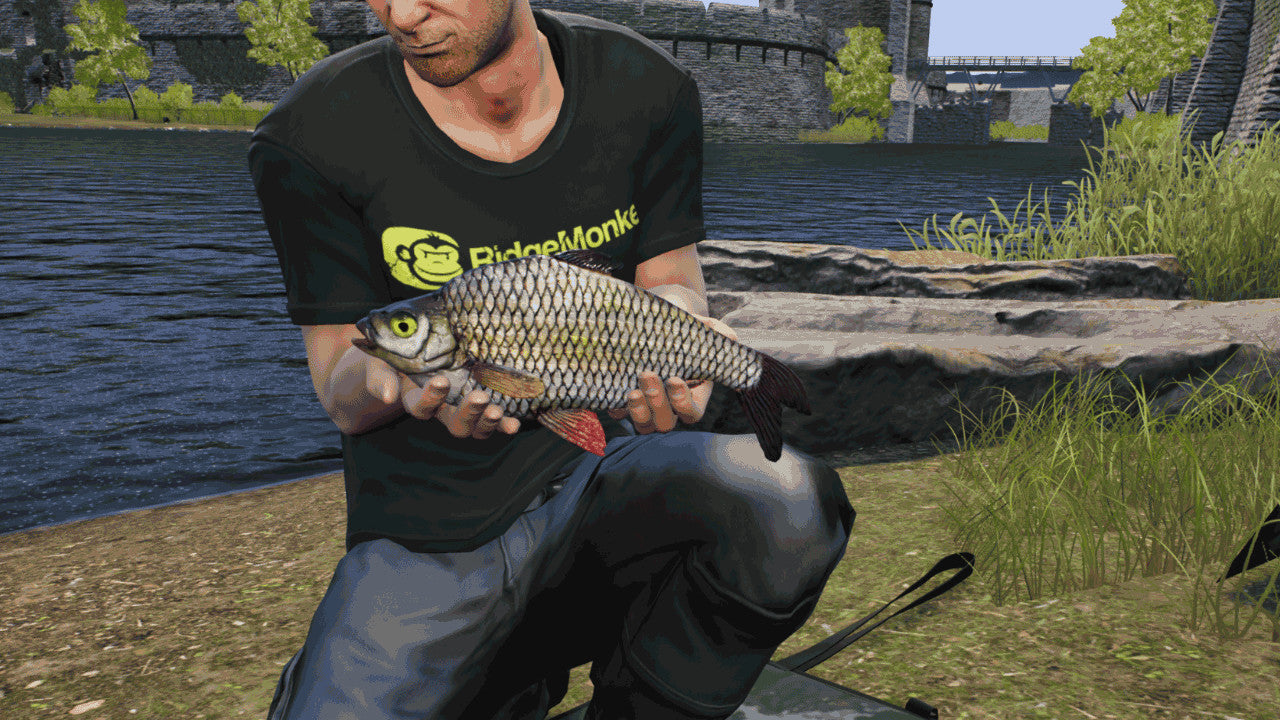 Buy Euro Fishing - The Moat DLC Steam Key Default Title Steam key – fast digital delivery | Volt Keys